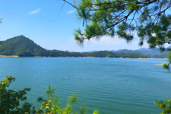 服务产品汇｜注塑机的原厂加热器究竟有多重要？