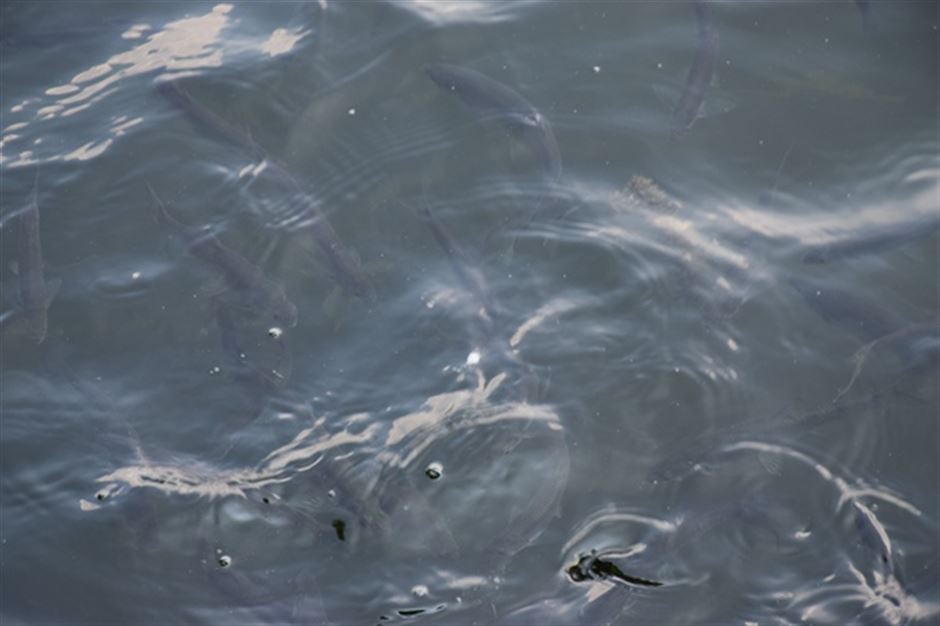 欧盟将发布《循环经济法》